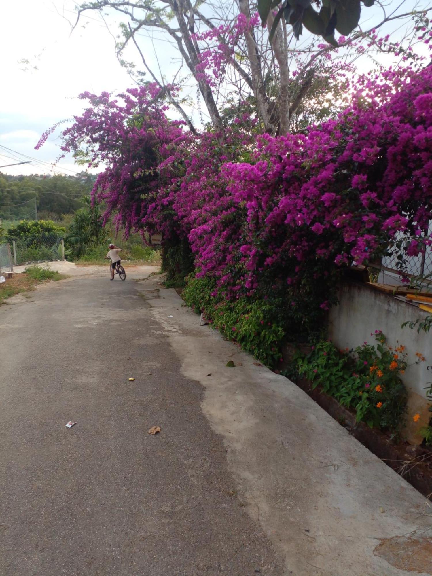 Ly'S Homestay Gia Nghia Exteriör bild
