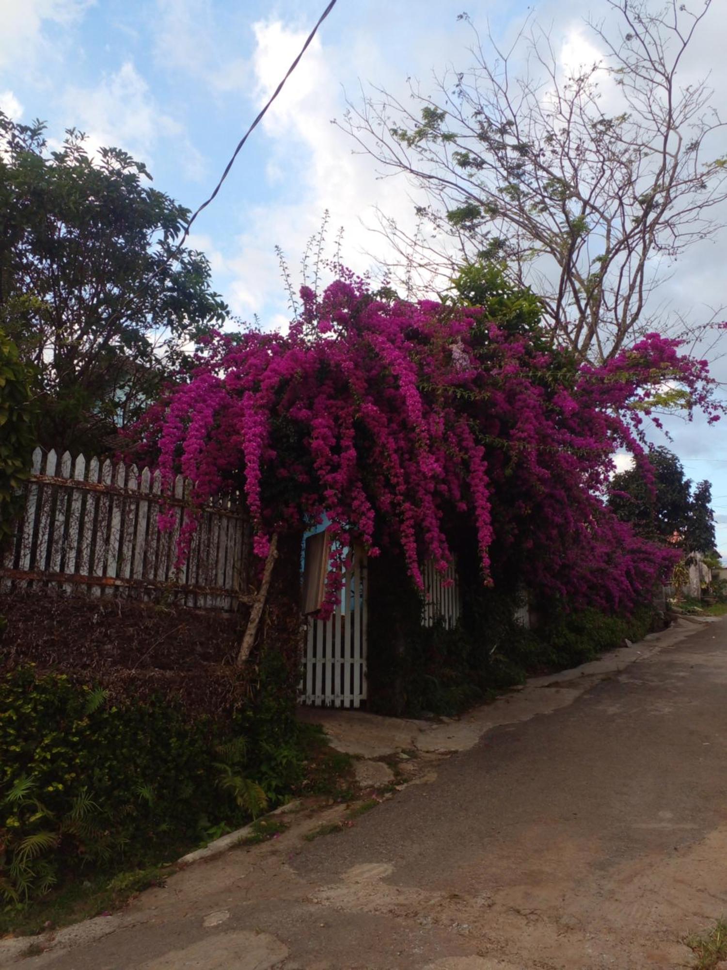 Ly'S Homestay Gia Nghia Exteriör bild
